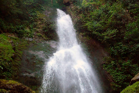 From Batumi: Mtirala National Park Guided Hike, Cable Car