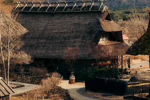 From Tokyo: Mount Fuji Full Day Customizable Private Tour