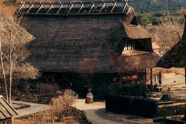 From Tokyo: Mount Fuji Full Day Customizable Private Tour