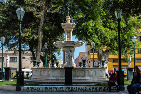 Desde Trujillo: Tour peatonal de la ciudad de Trujillo