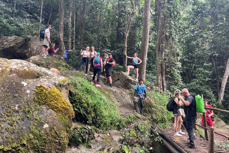 Chiang Rai: Jungle Adventure-Group Trekking & Bamboo Cooking