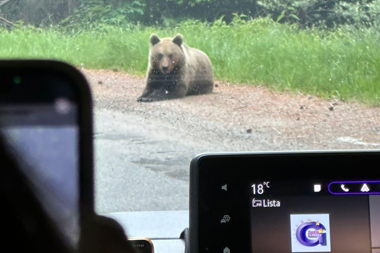 Bucharest: Top Gear Road & Wild Brown Bears, group max 8 pax Bucharest: Transfăgărășan Top Gear Road & Wild Brown Bears