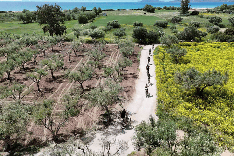 Peloponnese: 8-Day Guided Sightseeing E-Bike Tour & Hotels