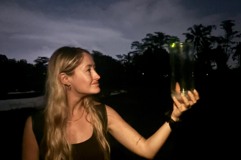 Ubud: Silver Making Class and Fireflies Evening Tour