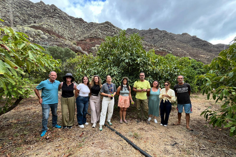 Tenerife: Avocado Farm Tour with Tasting Menu & Wine