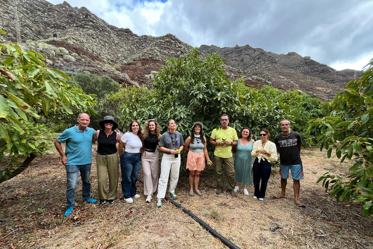 Tenerife: Avocado Farm Tour with Tasting Menu & Wine