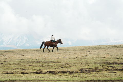 Stepantsminda: Alpine Valley Horseback Tour
