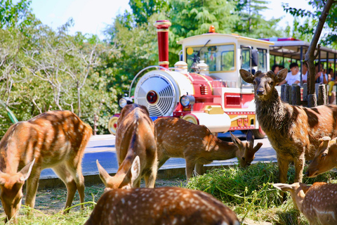 Guangzhou: Chimelong Safari Park Entry with Private Transfer Shenzhen | Private Transfer + Chimelong Safari Park Ticket