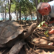 Zanzibar: Prison island half day tour