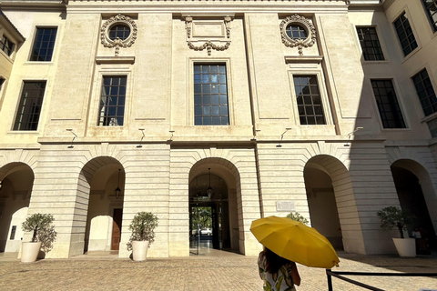 Intro to Lyon - Dynamic Walking Tours (Local Guide)