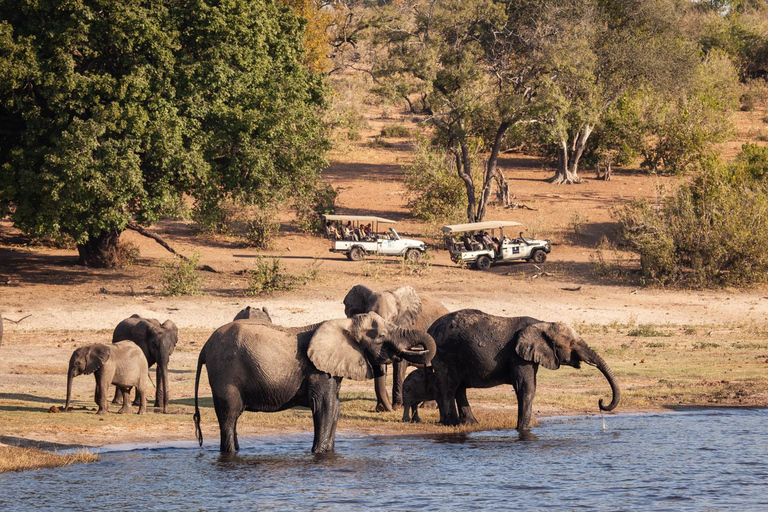 Chobe dagstur från Victoriafallen