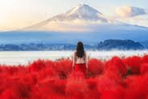 Depuis Tokyo : Excursion privée d&#039;une journée au Mont Fuji et à HakoneVisite en bus partagée du Mont Fuji