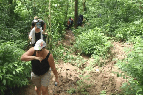 Nadi : visite d&#039;une jounée du village de Nalesutale