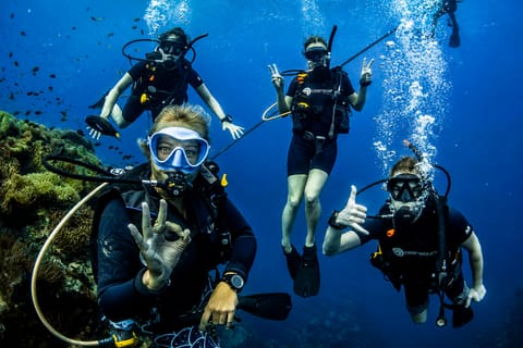 Koh Tao: PADI Premium Open Water Diver Course (2.5 days) - Image 2