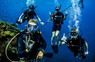 Koh Tao: PADI Premium Open Water Diver Tauchkurs (2,5 Tage)
