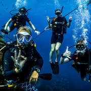 Koh Tao: PADI Premium Open Water Diver Course (2.5 days)