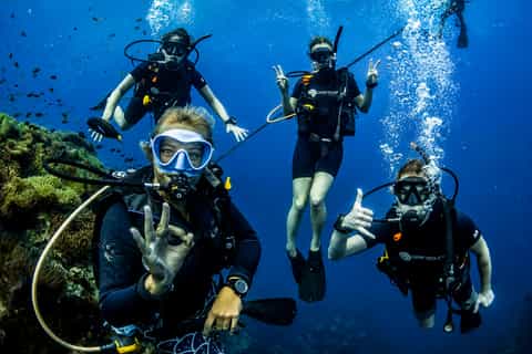 Koh Tao: PADI Premium Open Water Diver Course (2.5 days) - Image 3