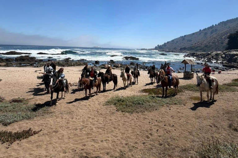 Papudo: Horseback Riding, Penguin Watching, and Sailing