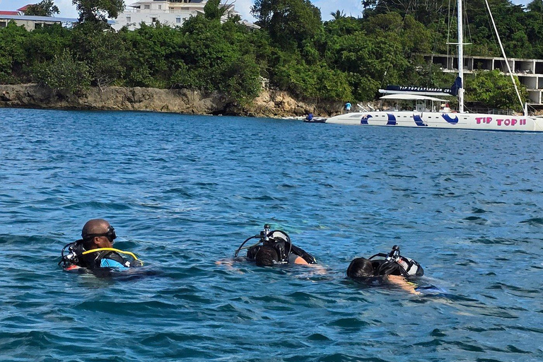Scuba Diving in Puerto Plata Scuba Dive + Transport