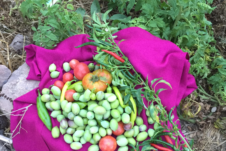 Rustic cooking day at Bodrum country home