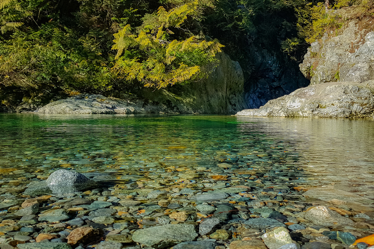 Vancouver: visite du pont suspendu de Lynn Valley et de la nature