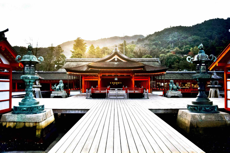 From Osaka/Kyoto: Nara Private Day Tour with Hotel Pickup Comfortable Toyota Hiace for Big Group Upto 10 persons
