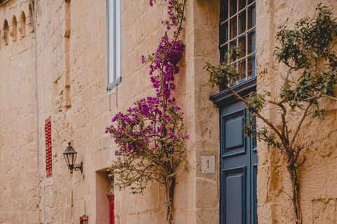 Mdina Resounds: Immersive Cathedral Experience