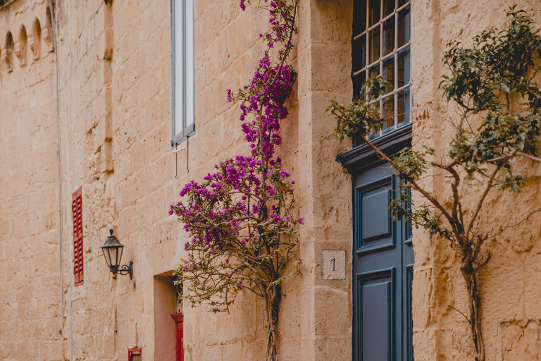 Mdina Resounds: Immersive Cathedral Experience