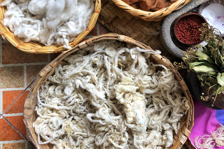 Quito & Beyond: The Hidden Gems of Northern Andes