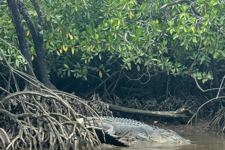 Cairns: Guided Jetski Tour 30 or 60 min Cairns: Guided Jetski Tour 30min