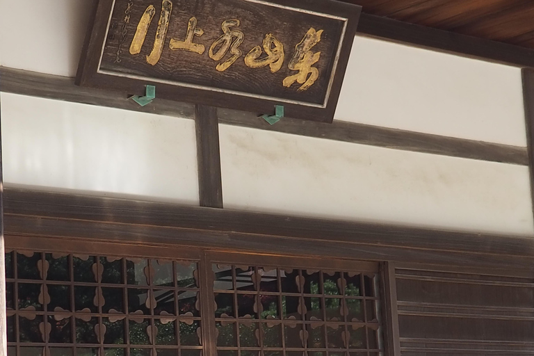 E-Bike Tour in Kyoto with Asuka, Japanese graduate student