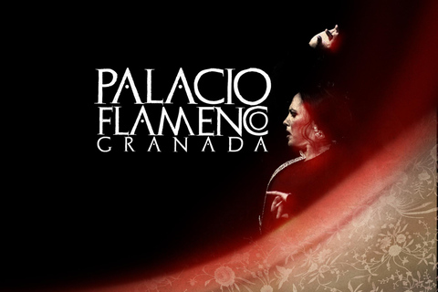 Granada: 1-Hour Traditional Flamenco Show at Palacio Flamenco en Palacio Granada