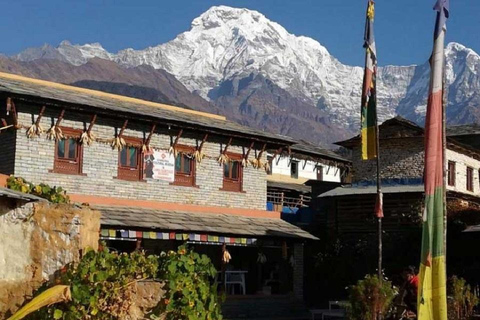 Desde Pokhara: Excursión privada de 4 días a Poon Hill con guíaTour privado con comidas incluidas.