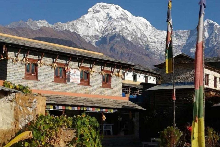 Da Pokhara: trekking economico del Campo Base dell&#039;Annapurna di 7 giorni