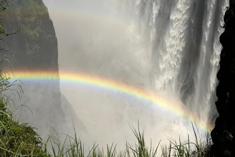 Victoria Falls: Guided Tour with Rainforest Walk