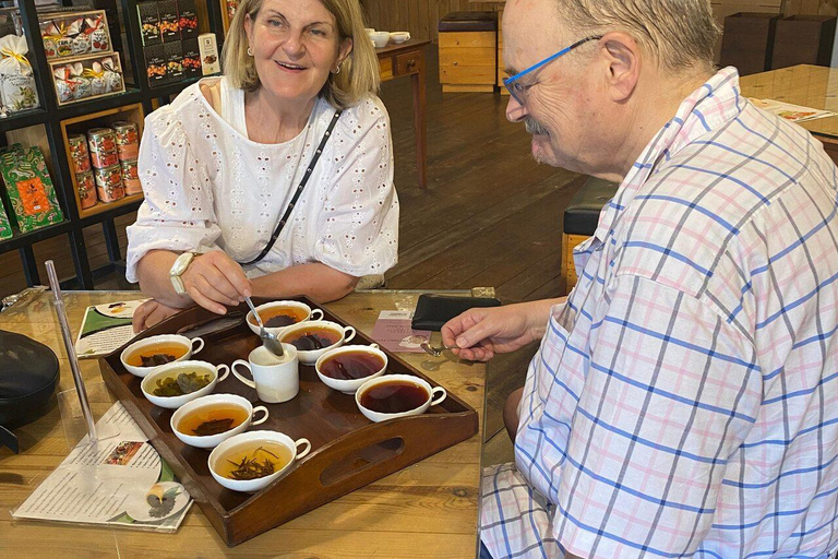 Kandy: Tea Tasting, Gem Museum & Spice Garden Tuk Tuk Tour