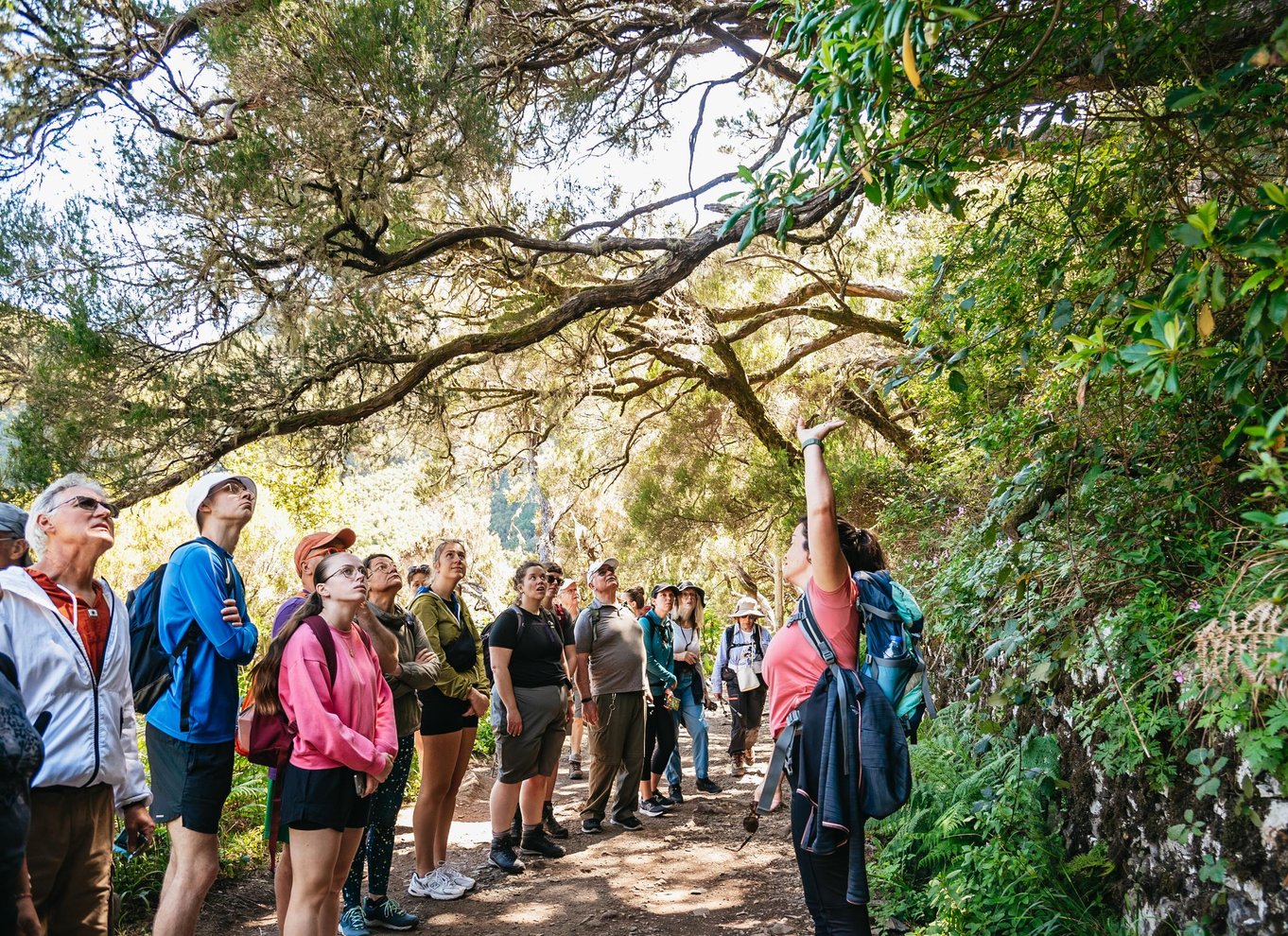 Madeira: Nyd en guidet gåtur i Levada i Rabaçal-dalen