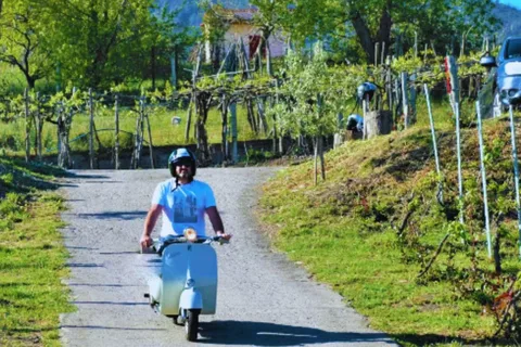 Z Pompei: Wycieczka zabytkową skuterem Vespa u podnóża Wezuwiusza