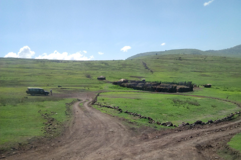 Serengeti Explorer: 6 Tage Privatsafari mit Wildbeobachtung.