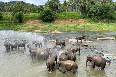 From Colombo: Ambuluwawa Tower & Pinnawala Day Trip Tour