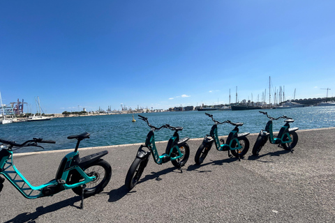 Valencia alles in één: stranden, oude stad &amp; stadskunsten per E-bikeGedeelde Tour Valencia Alles in één