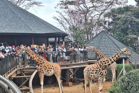 Parque Nacional de Nairobi, Sheldrick Wildlife Trust e Giraffe Center