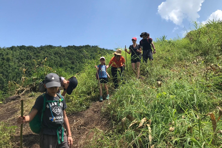 Chiang Rai Trek: 4 Hilltribes Villages & Waterfall Only Walk
