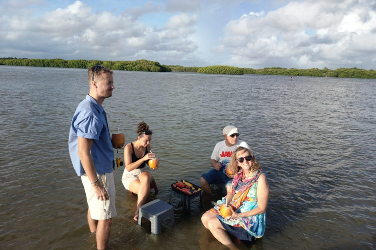 From Negombo: Boat Tour of Negombo Lagoon