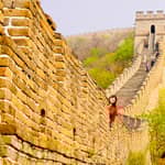 Pechino: Tour di un giorno della Grande Muraglia di Mutianyu con opzioni