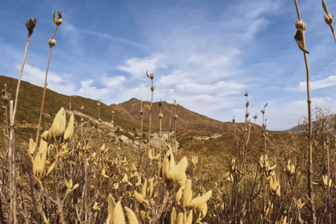 Guidad Buggy-tur MijasLas Lagunas de Mijas: Guidad tur med buggy