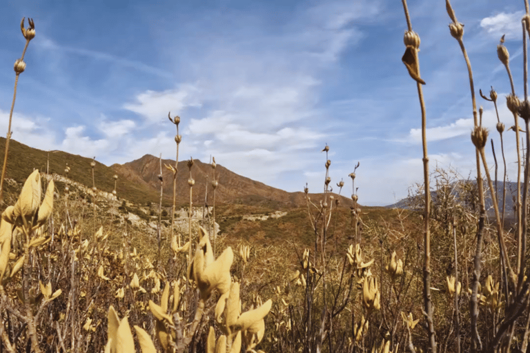 Guided Buggy Tour MijasLas Lagunas de Mijas: Guided Buggy Tour