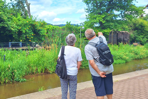 Bad Dürkheim: Romans, Vines, and a Giant Barrel – Nature & Wine Enjoyment Hiking Tour Bad Dürkheim: Römer, Vines, and the Giant Barrel – Nature & Wine Enjoyment Hiking Tour