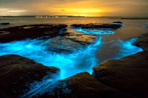 Grand Cayman: Bioluminescent Bay Boat Tour with Snorkeling
