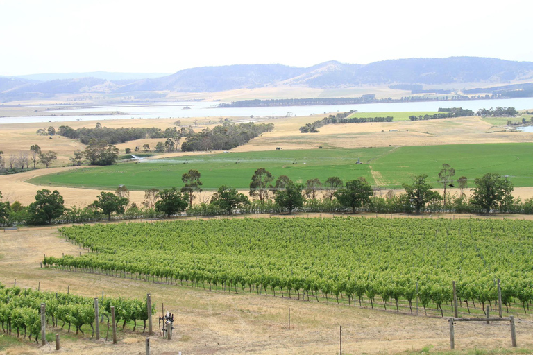 From Hobart: Coal River Valley Curated Winery Discovery From Hobart: Coal River Valley Private Wine Tour - 6 People